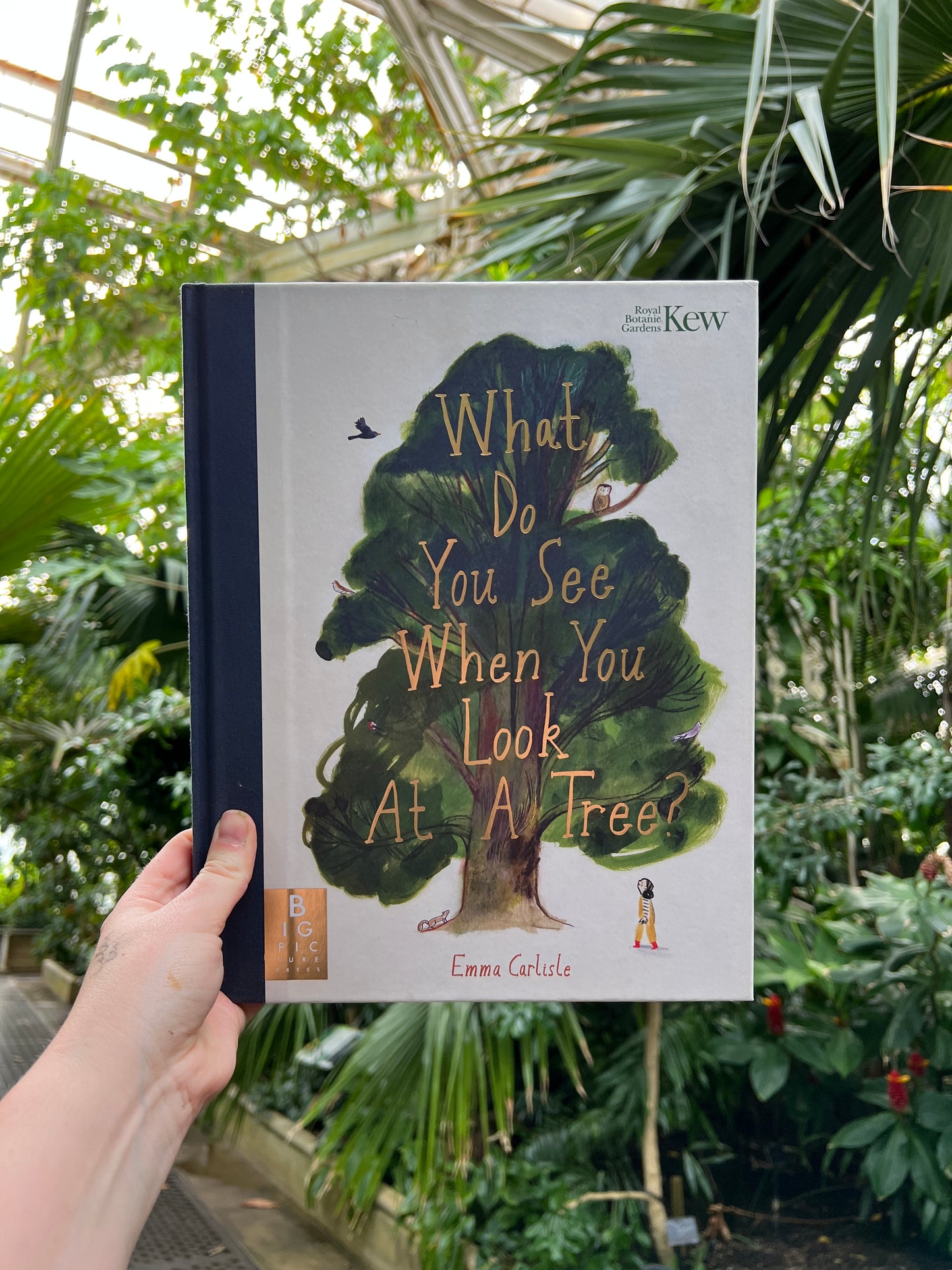 What Do You See When You Look at at Tree - Paperback restock coming soon