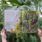 What Do You See When You Look at at Tree - Paperback restock coming soon